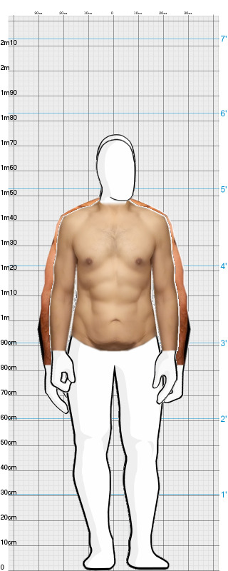 Full Size Comparison