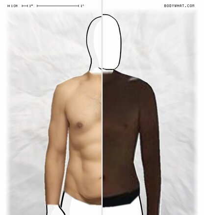 Torso Comparison