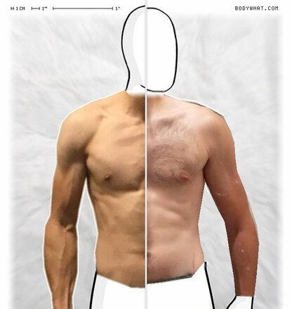 Torso Comparison