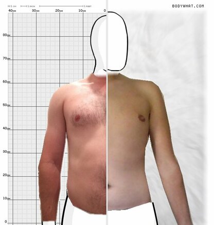 Torso Comparison