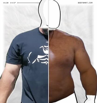 Torso Comparison