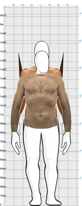 Full Size Comparison