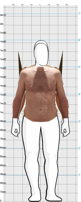 Full Size Comparison