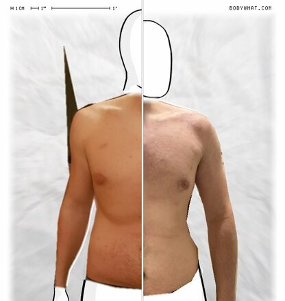 Torso Comparison