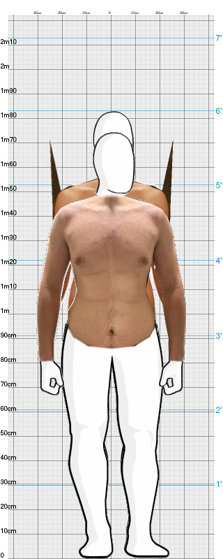 Full Size Comparison