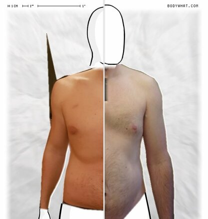 Torso Comparison