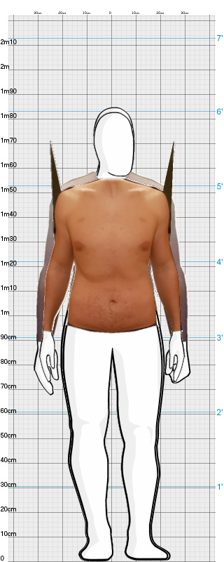 Full Size Comparison