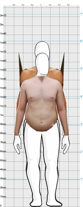 Full Size Comparison