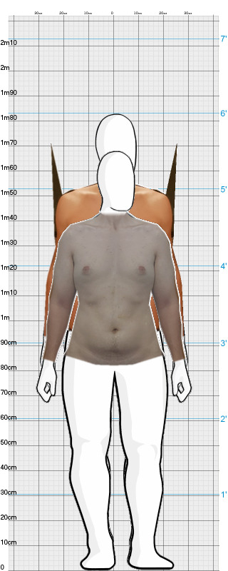 Full Size Comparison