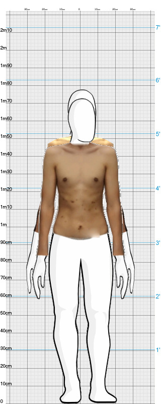 Full Size Comparison