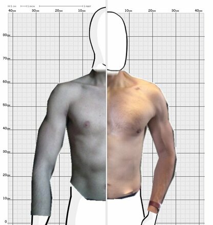 Torso Comparison