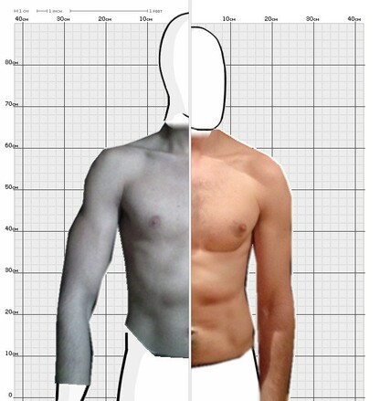 Torso Comparison
