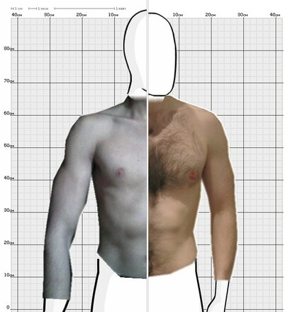 Torso Comparison