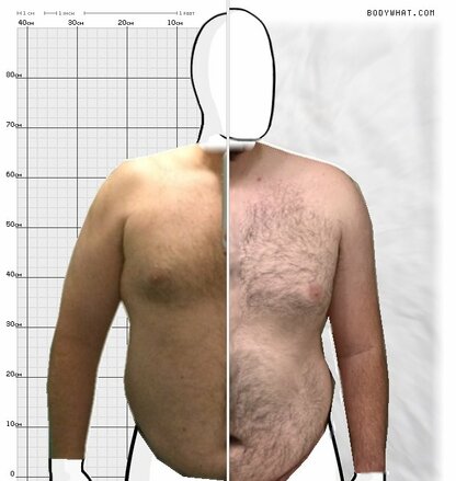 Torso Comparison