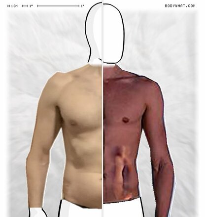 Torso Comparison