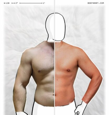 Torso Comparison