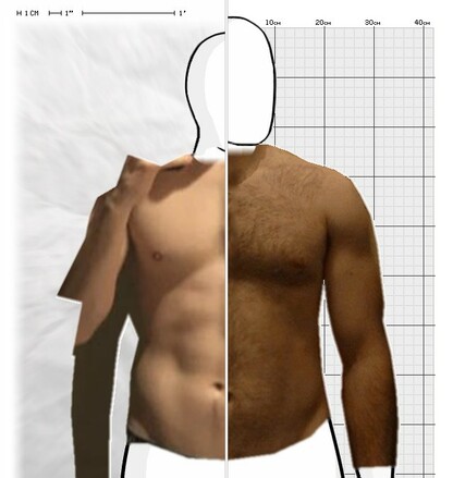 Torso Comparison