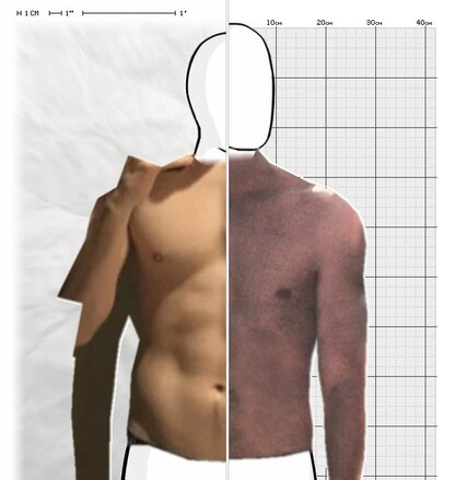 Torso Comparison