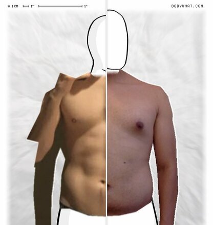 Torso Comparison