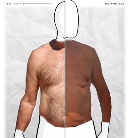 Torso Comparison