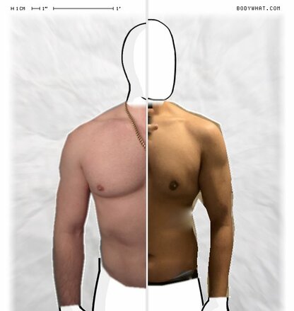 Torso Comparison