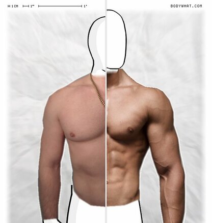 Torso Comparison