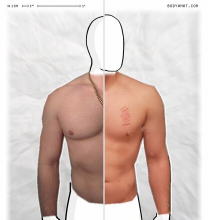 Torso Comparison