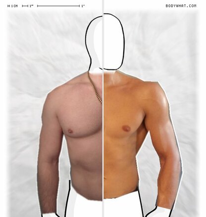 Torso Comparison