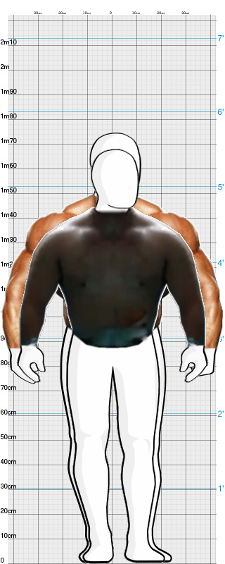 Full Size Comparison