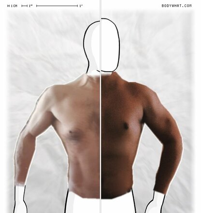 Torso Comparison
