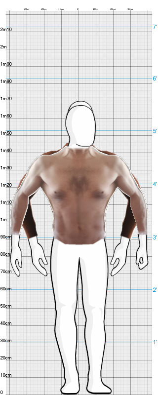 Full Size Comparison