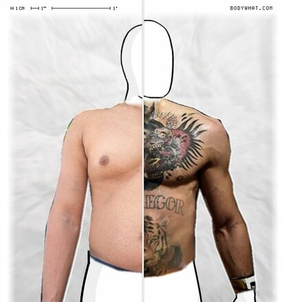 Torso Comparison