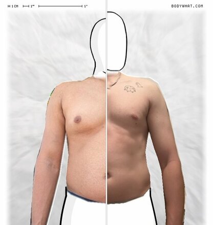 Torso Comparison