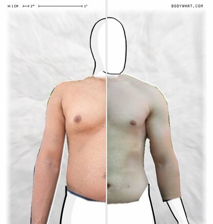 Torso Comparison