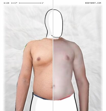 Torso Comparison