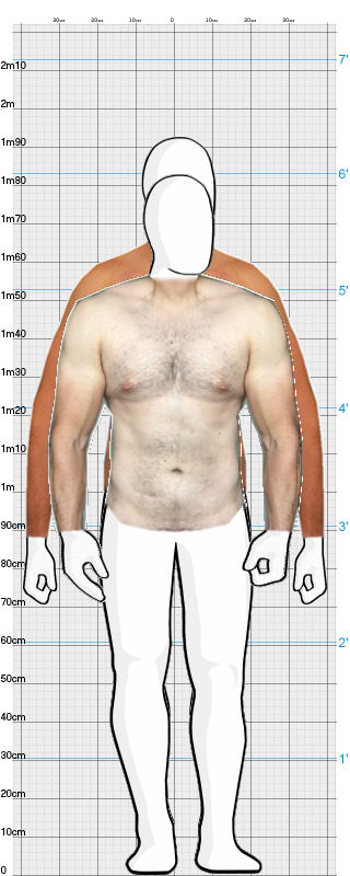 Full Size Comparison