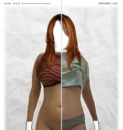 Torso Comparison