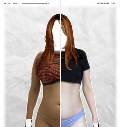 Torso Comparison