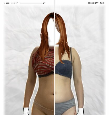 Torso Comparison