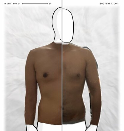 Torso Comparison