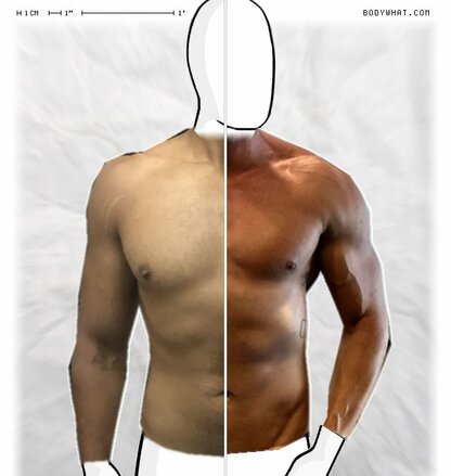 Torso Comparison