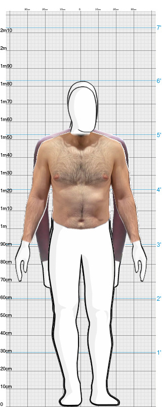 Full Size Comparison