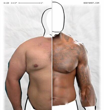 Torso Comparison