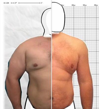Torso Comparison