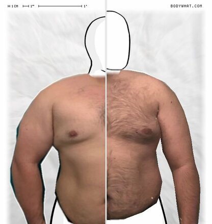 Torso Comparison