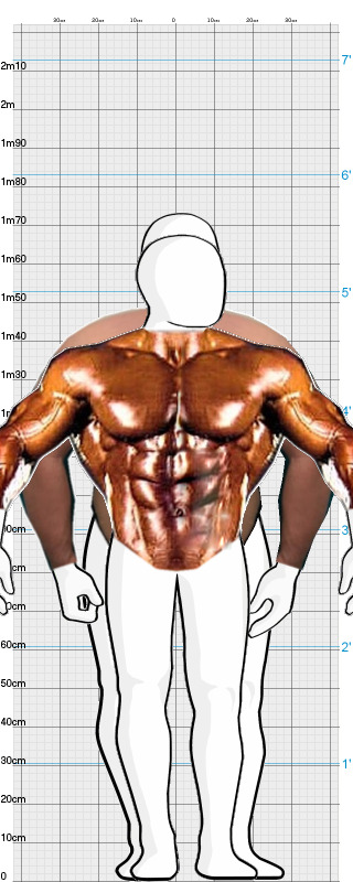 Full Size Comparison