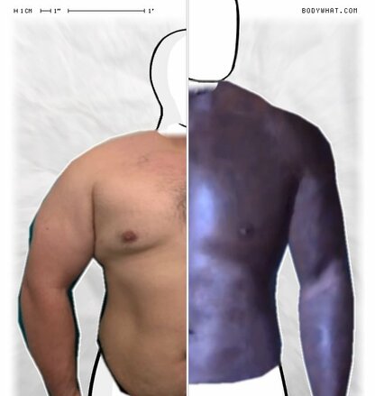 Torso Comparison