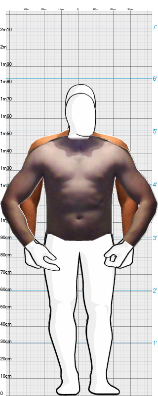 Full Size Comparison