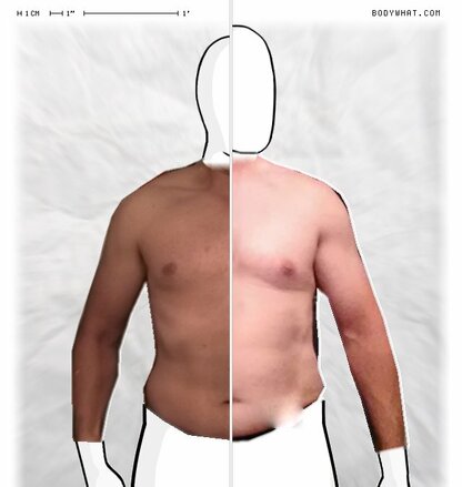 Torso Comparison