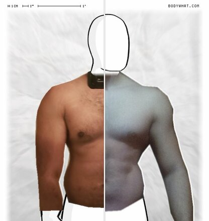 Torso Comparison